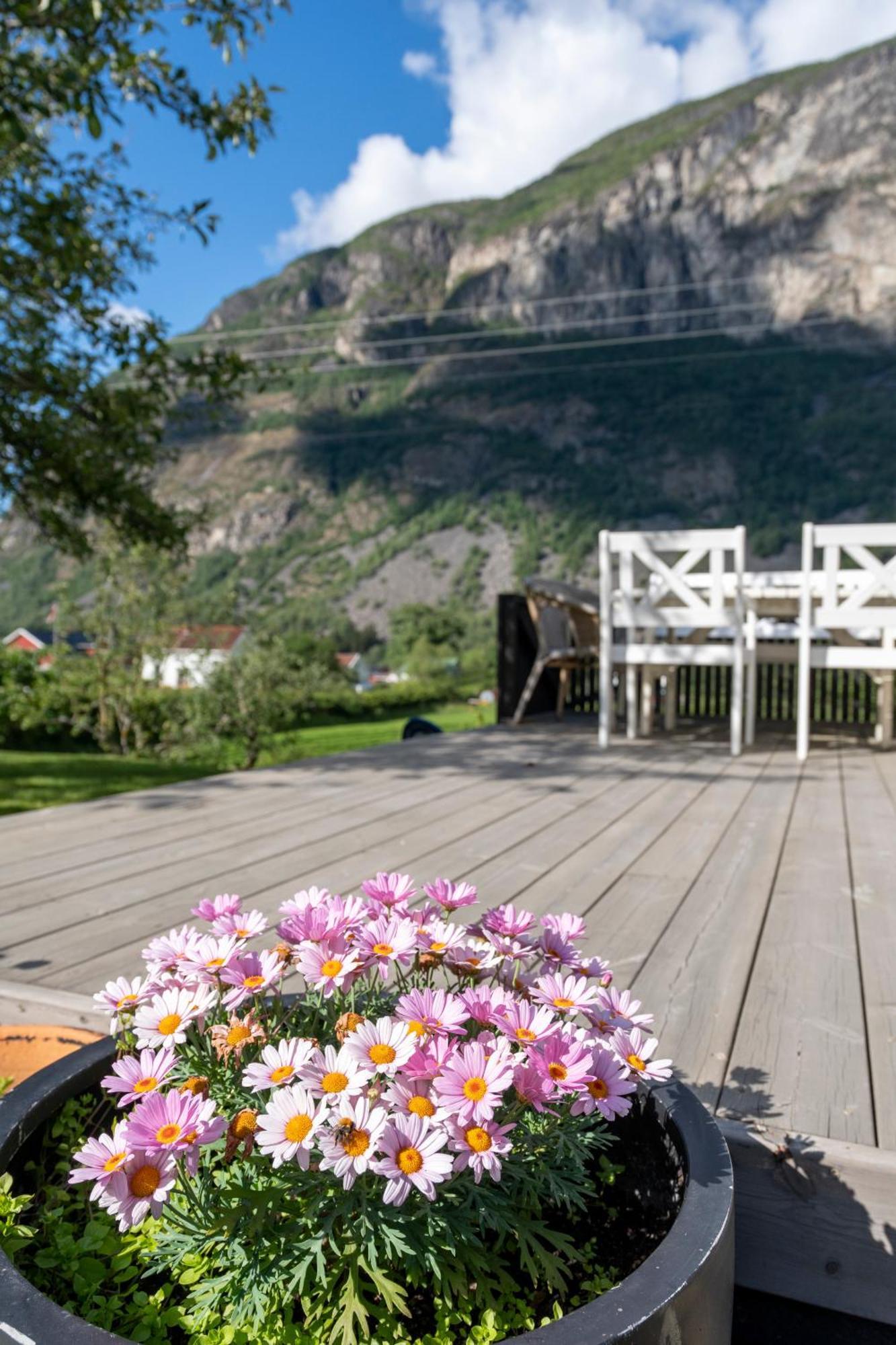 Jordeplegarden Holiday Home - Part Of A Farm - Two Buildings - Close To Flam Laerdalsoyri Exterior photo